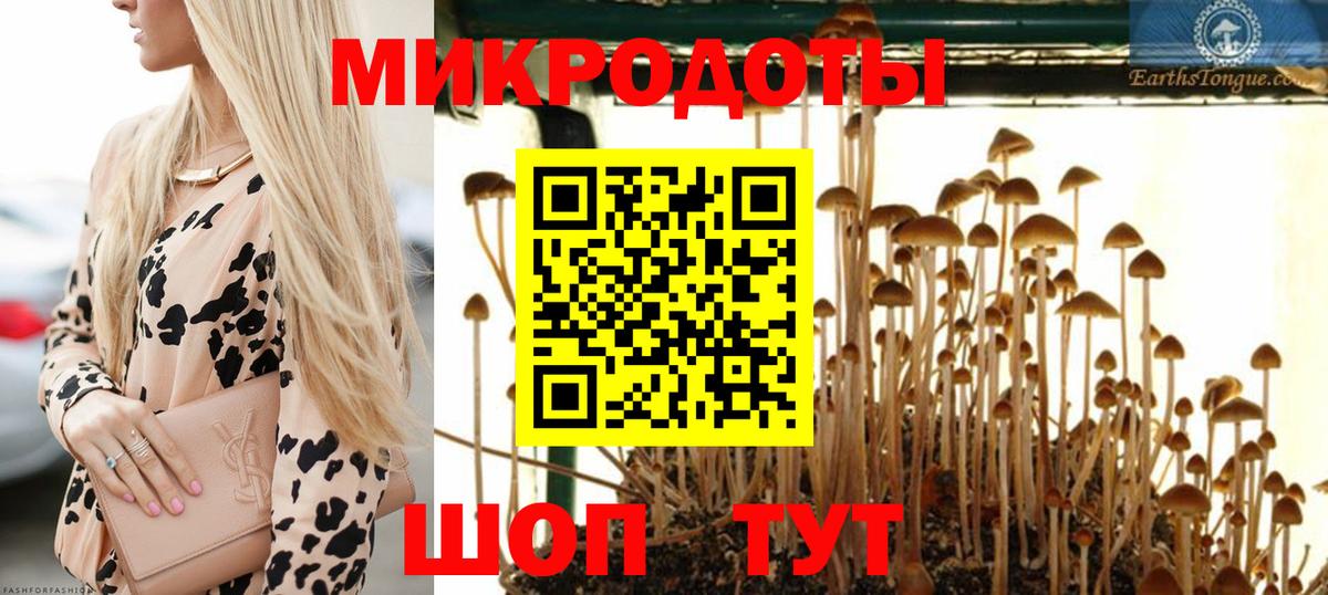 ГАШИШ Петропавловск-Камчатский